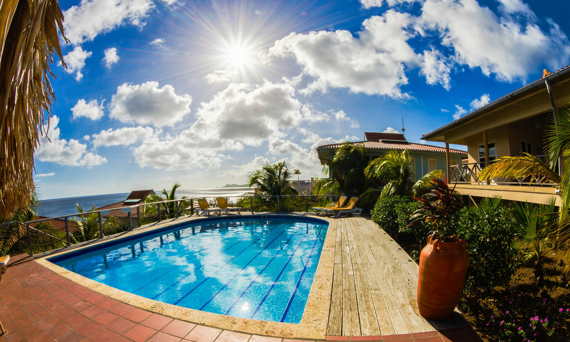 אפרטהוטל Caribbean Club Bonaire מראה חיצוני תמונה