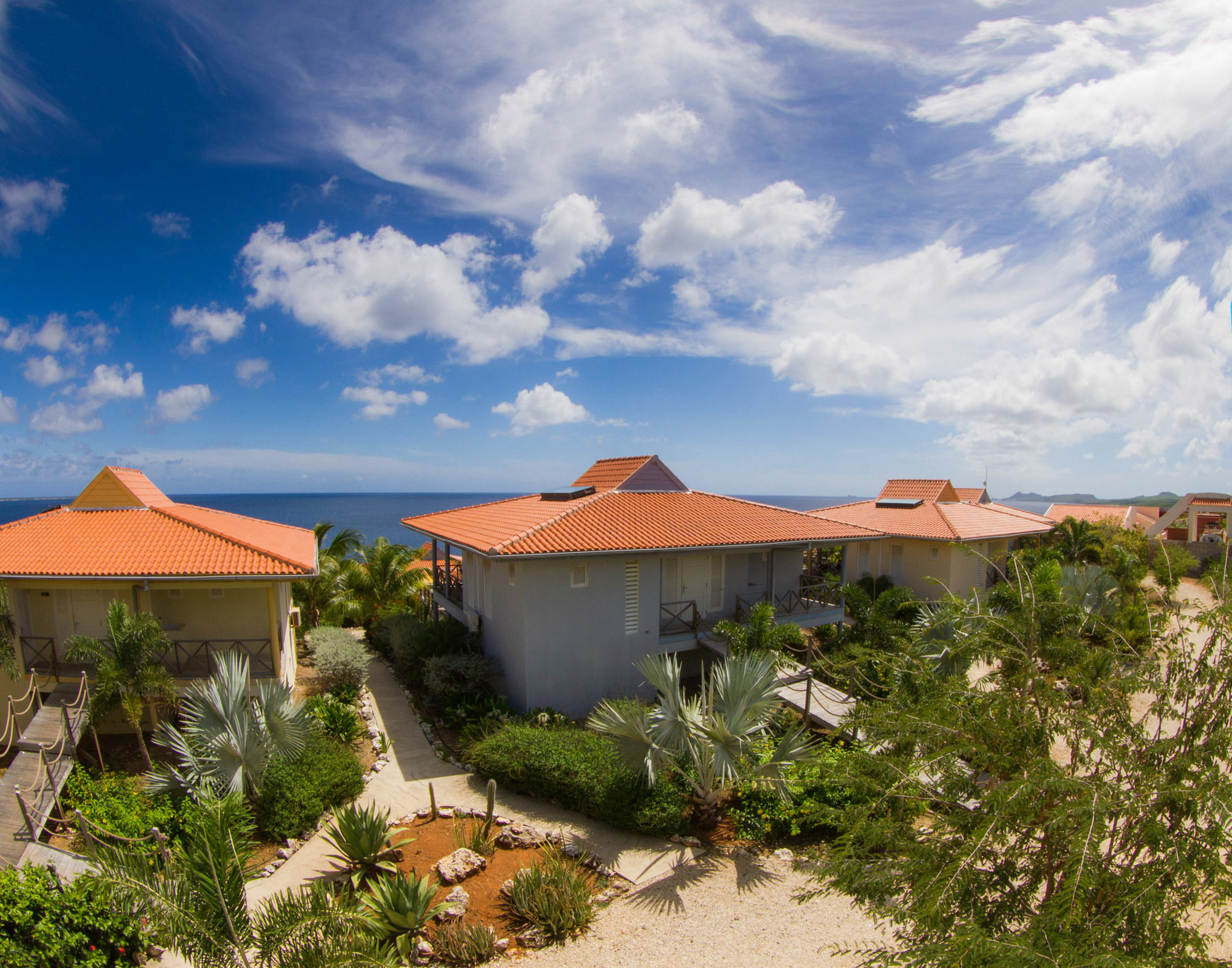 אפרטהוטל Caribbean Club Bonaire מראה חיצוני תמונה